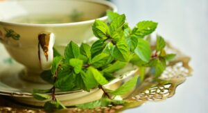 menta digeriamo le feste con laiuto delle piante rimedi naturali 1