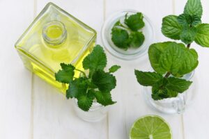 olio essenziale di menta chiarezza mentale cefalea indigestione rimedi naturali 1