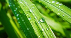 kit estate benessere naturale oli essenziali